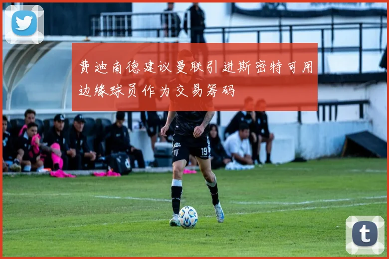 费迪南德建议曼联引进斯密特可用边缘球员作为交易筹码